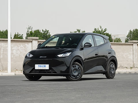 2025 BYD Seagull Image 8